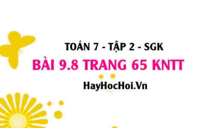 Bài 9.8 trang 65 Toán 7 Tập 2 Kết nối tri thức